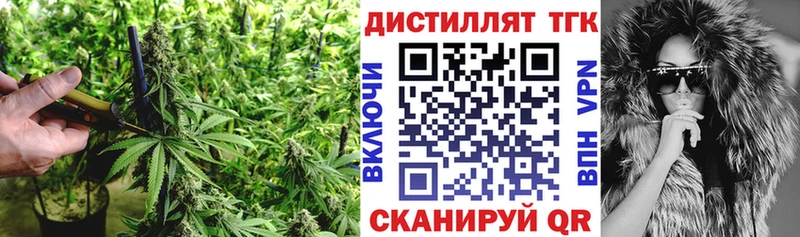 Дистиллят ТГК Wax  где купить наркотик  Бабаево 